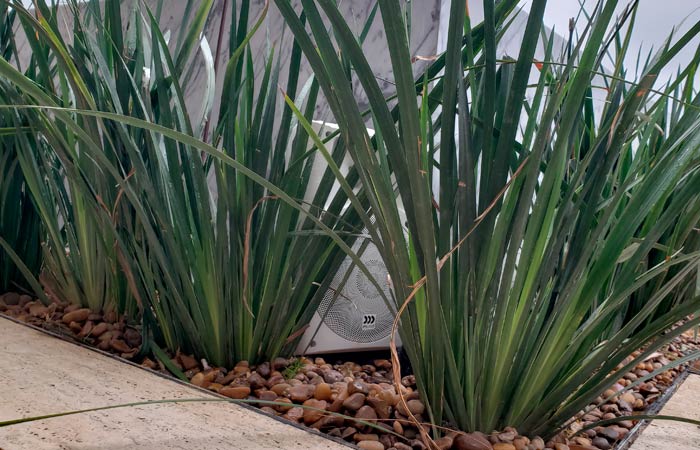 Som Ambiente e Automacao