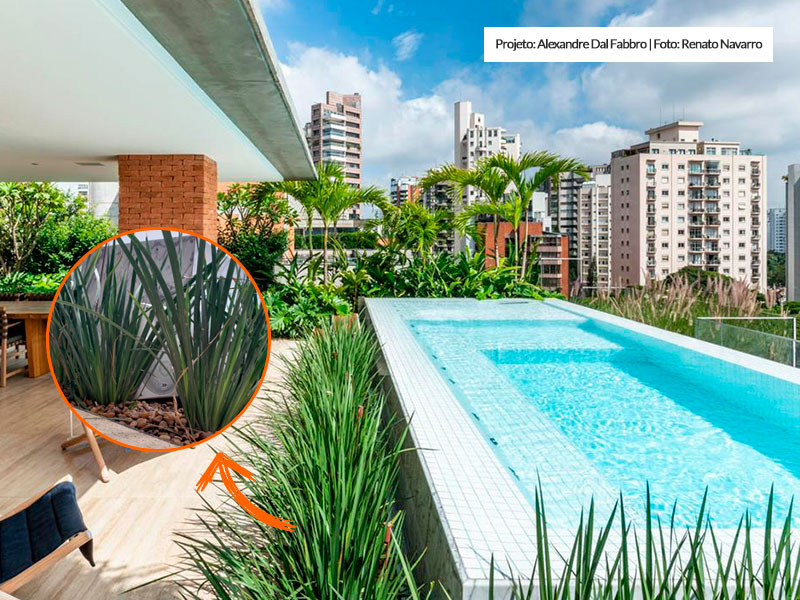 Som ambiente �rea piscina